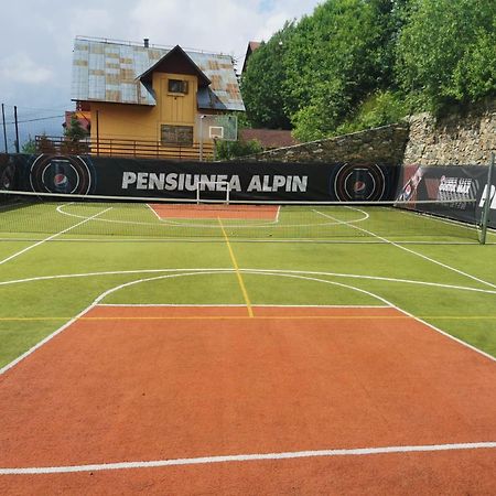 Pensiunea Alpin Рынка Экстерьер фото