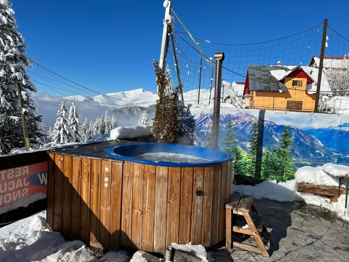 Pensiunea Alpin Рынка Экстерьер фото