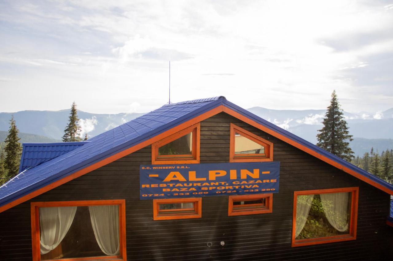 Pensiunea Alpin Рынка Экстерьер фото