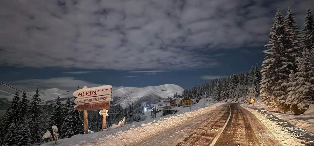 Pensiunea Alpin Рынка Экстерьер фото