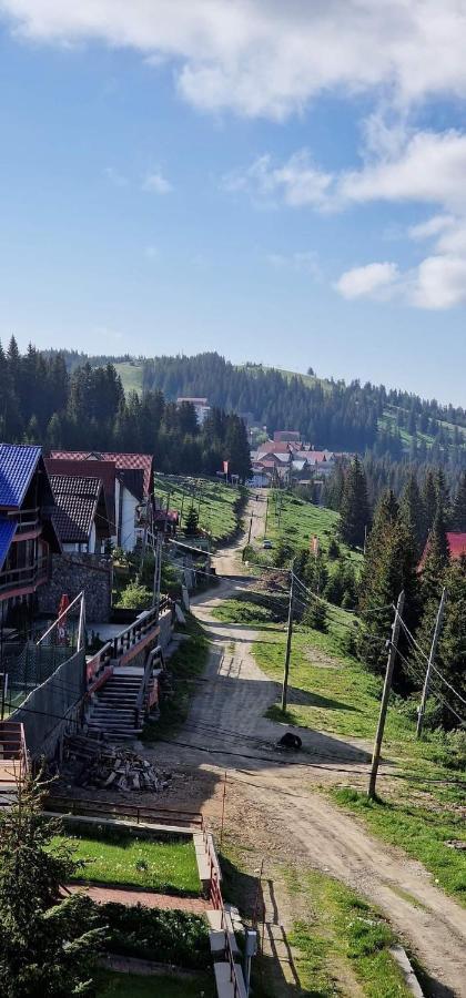 Pensiunea Alpin Рынка Экстерьер фото