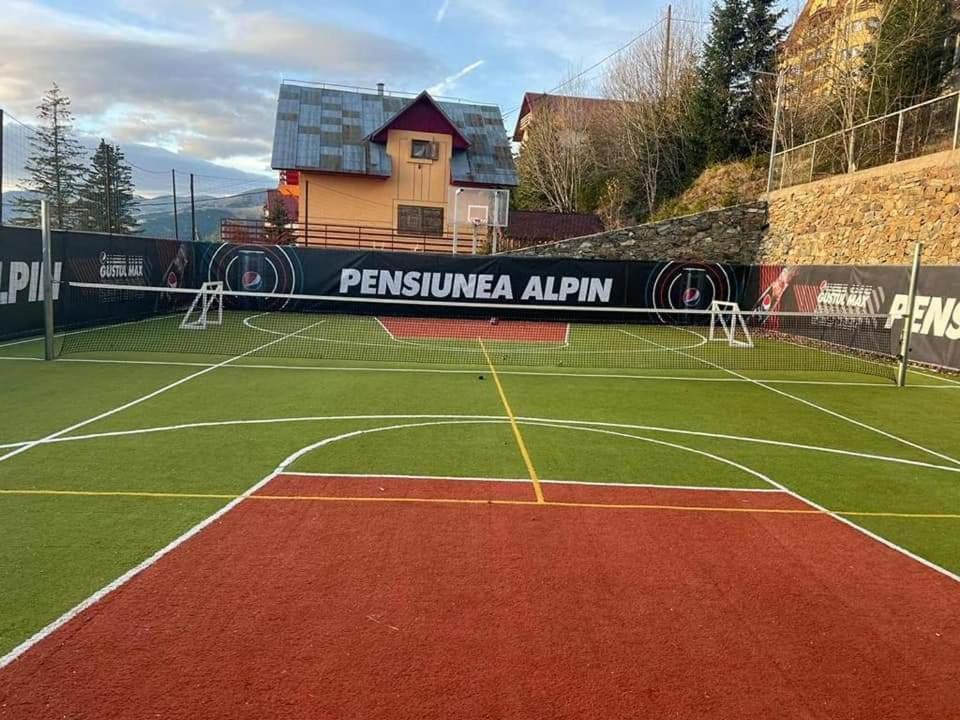 Pensiunea Alpin Рынка Экстерьер фото