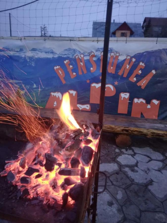 Pensiunea Alpin Рынка Экстерьер фото