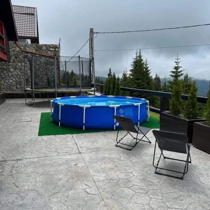 Pensiunea Alpin Рынка Экстерьер фото