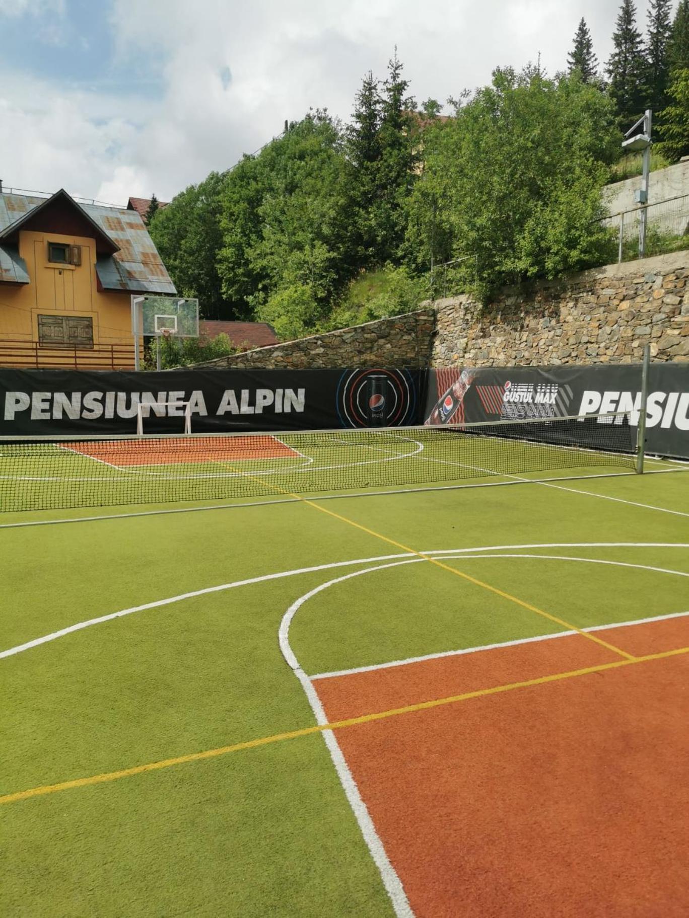Pensiunea Alpin Рынка Экстерьер фото